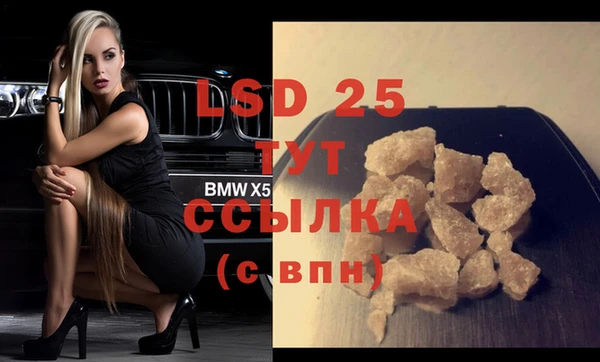 индика Лабытнанги