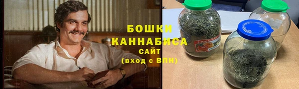 бошки Ладушкин