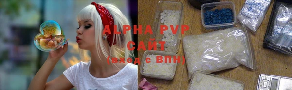 индика Лабытнанги