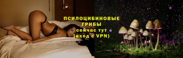 индика Лабытнанги