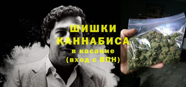 бошки Ладушкин