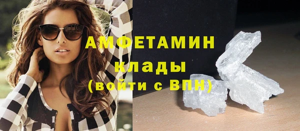 индика Лабытнанги