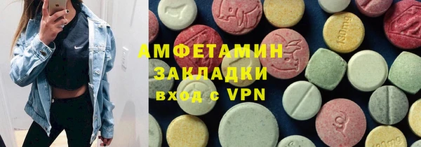 индика Лабытнанги