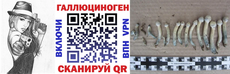 Галлюциногенные грибы мицелий  где купить наркоту  Братск 