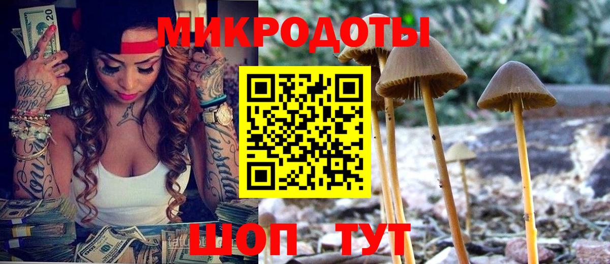 Галлюциногенные грибы Psilocybine cubensis Братск